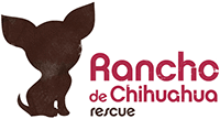 Non-Profit Dog Sanctuary — Rancho de Chihuahua Dog Rescue in Chimayo, NM
